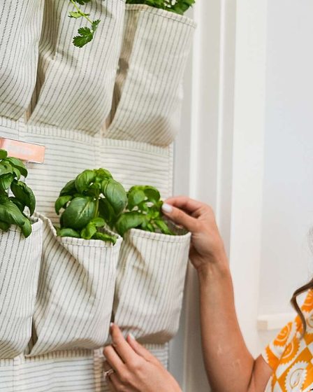 4 étapes pour créer un jardin vertical 62 4 étapes pour créer un jardin vertical - 61