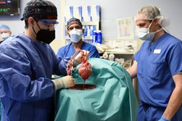 Un patient décédé d'un virus ? – La science et le futur › Geek News - 7