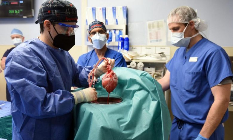 Un patient décédé d'un virus ? – La science et le futur › Geek News - 1