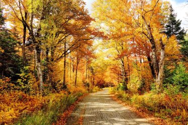 Ce sont les meilleurs endroits pour voir le feuillage d'automne avec votre famille, État par État - 22