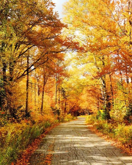 Ce sont les meilleurs endroits pour voir le feuillage d'automne avec votre famille, État par État - 69