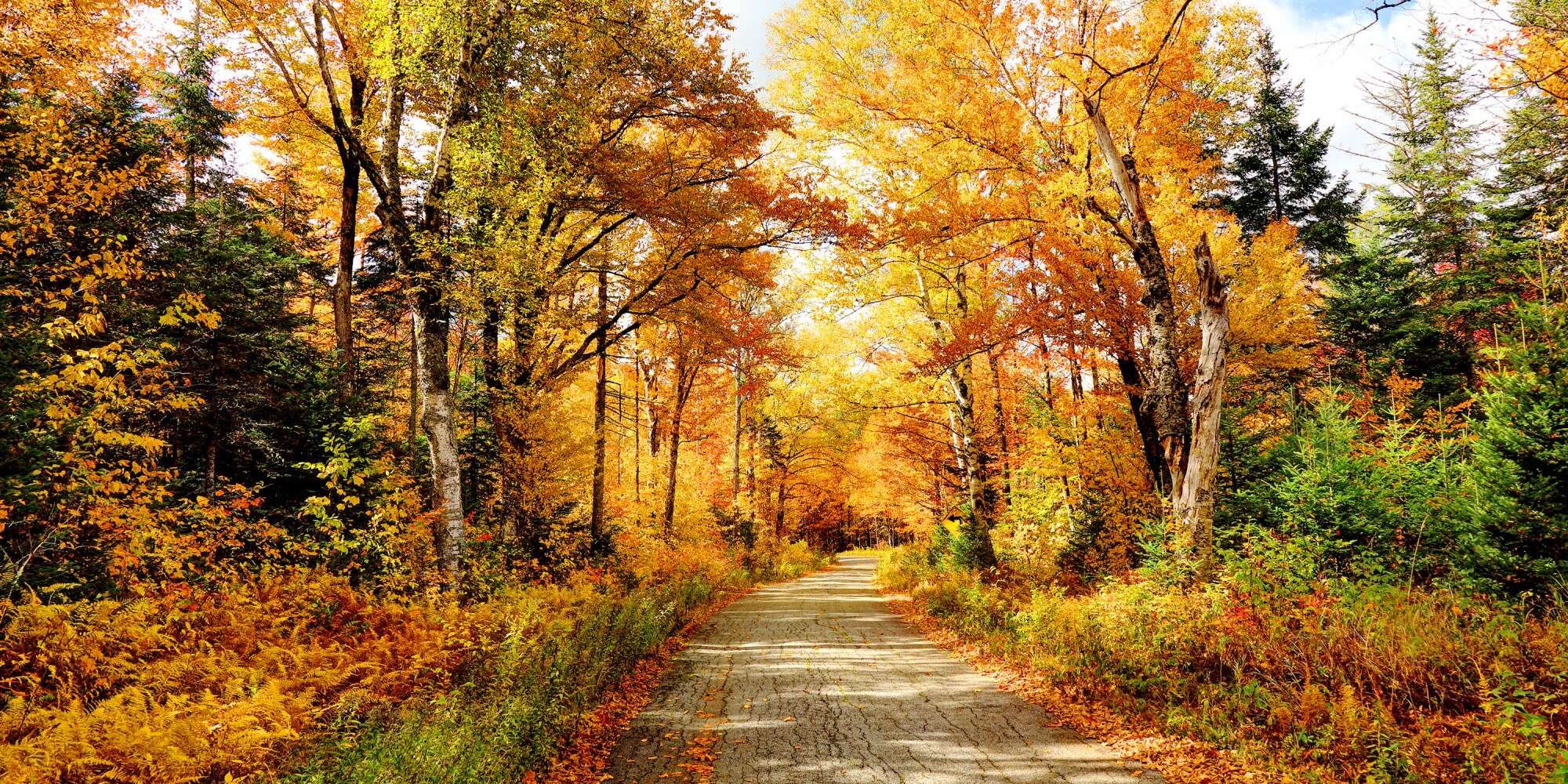 Ce sont les meilleurs endroits pour voir le feuillage d'automne avec votre famille, État par État 2 Ce sont les meilleurs endroits pour voir le feuillage d'automne avec votre famille, État par État - 1