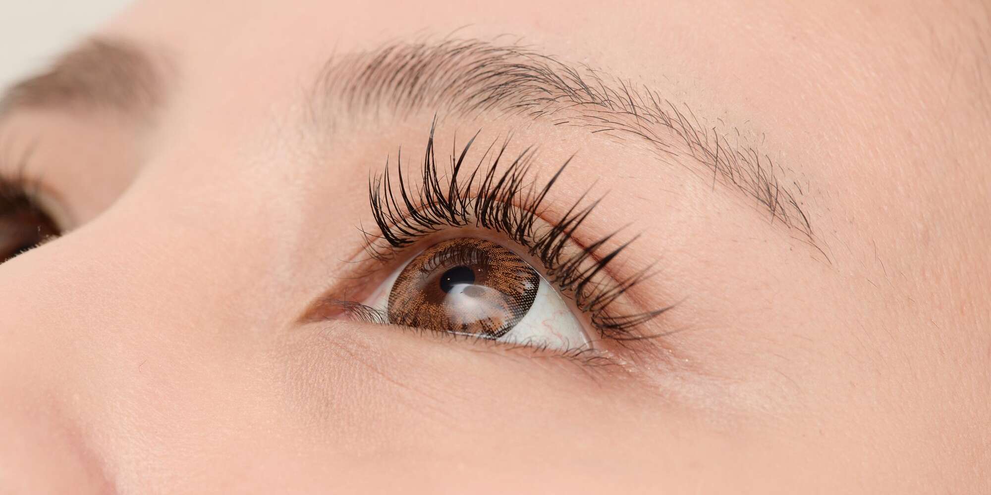 Demandez à un éditeur de beauté : comment utiliser un recourbe-cils chauffant et les 4 meilleurs à essayer 2 Demandez à un éditeur de beauté : comment utiliser un recourbe-cils chauffant et les 4 meilleurs à essayer - 1