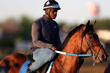 Vous voulez gagner de l'argent en pariant sur le Preakness? Voici 8 conseils - 9