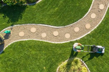 Comment planter des graines de gazon pour une pelouse verte et luxuriante - 8