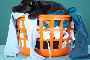 Si votre maison sent bizarre, vérifiez ces 8 problèmes - 22
