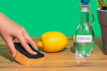 Vous pouvez utiliser du vinaigre de nettoyage pour nettoyer presque tout, sauf ces 6 choses - 10