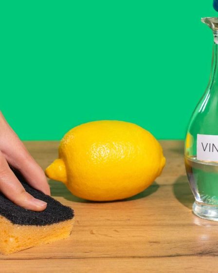 Vous pouvez utiliser du vinaigre de nettoyage pour nettoyer presque tout, sauf ces 6 choses 47 Vous pouvez utiliser du vinaigre de nettoyage pour nettoyer presque tout, sauf ces 6 choses - 46