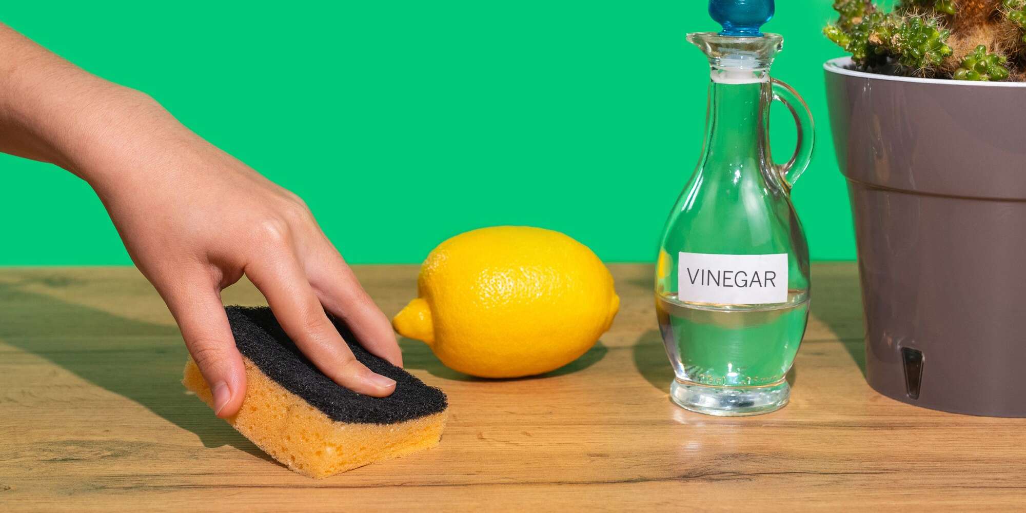 Vous pouvez utiliser du vinaigre de nettoyage pour nettoyer presque tout, sauf ces 6 choses 2 Vous pouvez utiliser du vinaigre de nettoyage pour nettoyer presque tout, sauf ces 6 choses - 1