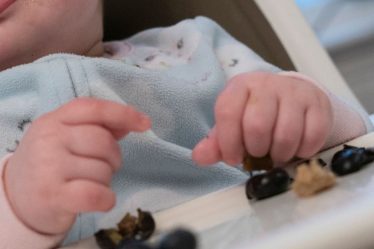 Les ventes d'aliments pour bébés augmentent en raison de la pénurie de préparations pour nourrissons, alors que de plus en plus de parents envisagent de faire sortir plus tôt les bébés de la phase lactée - 7