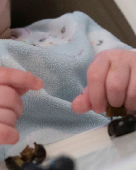 Les ventes d'aliments pour bébés augmentent en raison de la pénurie de préparations pour nourrissons, alors que de plus en plus de parents envisagent de faire sortir plus tôt les bébés de la phase lactée 6 Les ventes d'aliments pour bébés augmentent en raison de la pénurie de préparations pour nourrissons, alors que de plus en plus de parents envisagent de faire sortir plus tôt les bébés de la phase lactée - 5