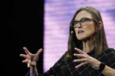 Voici la raison peu connue pour laquelle l'ETF ARK Innovation de Cathie Wood connaît une si mauvaise année - 7