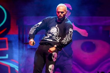 Un éleveur connu sous le nom de "Monkey Whisperer" condamné pour avoir vendu illégalement un primate au chanteur Chris Brown - 5