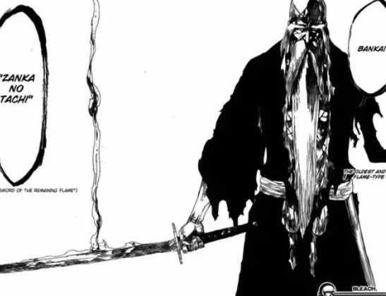Top 13 des Bankai les plus forts de Bleach (2022) | Mangas 15 L'eau de Javel Bankai de Genryusai Yamamoto