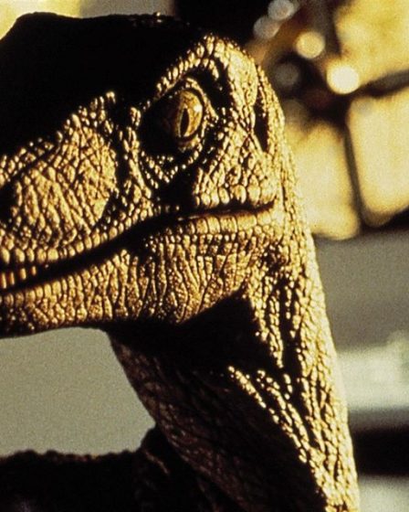 Avec "Jurassic World 3", les dinosaures règnent à nouveau au box-office 6 Avec "Jurassic World 3", les dinosaures règnent à nouveau au box-office - 5