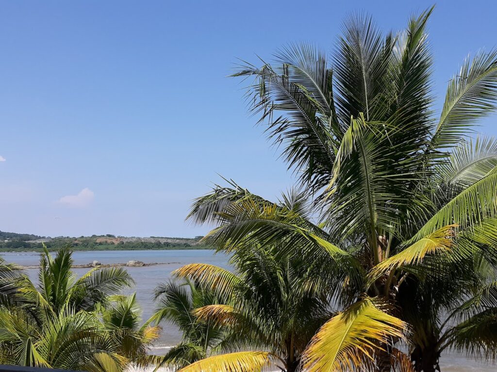J'ai vécu dans 4 villes du Panama en tant que retraité - voici ce que j'ai aimé de chacune 7 Vue du condo Vacamonte