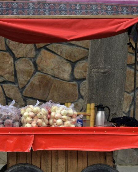 Le tremblement de terre en Afghanistan fait au moins 920 morts - 55
