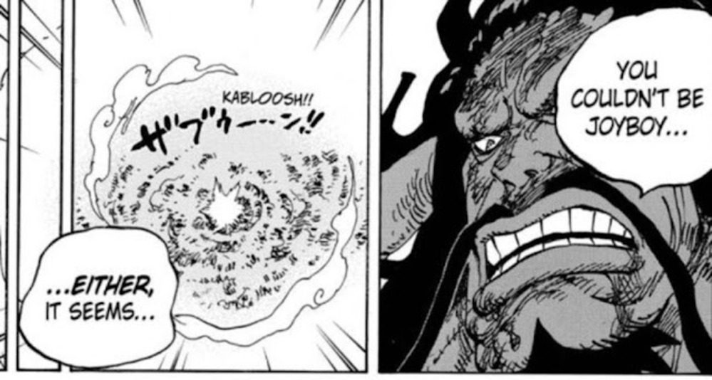 One Piece : Qui est Joy Boy ? Sa connexion avec Luffy Final expliquée 24 Kaido Joie Garçon