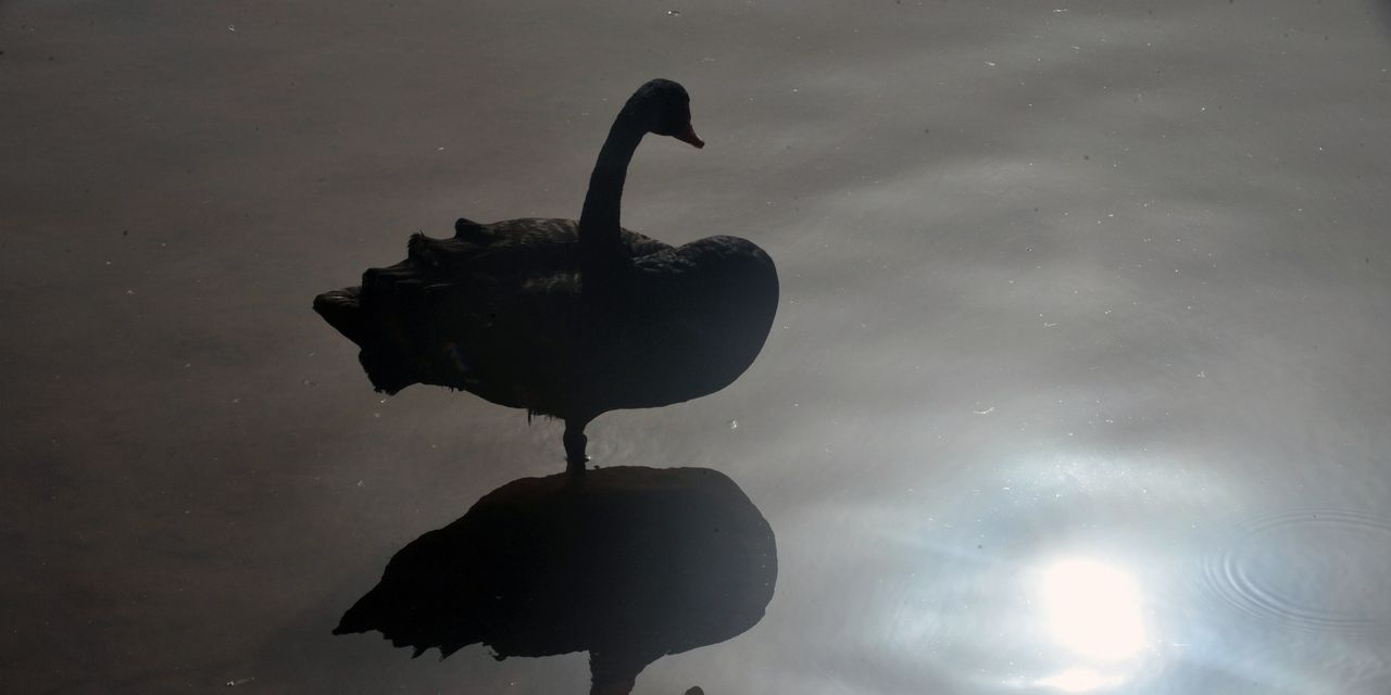 Ce cygne noir "sous-estimé" pourrait apporter un nouveau chaos à l'économie mondiale 2 Ce cygne noir "sous-estimé" pourrait apporter un nouveau chaos à l'économie mondiale - 1