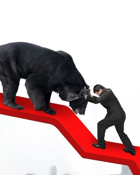 Ne craignez pas l'ours. Cela vous donne des chances de choisir des actions gagnantes et de battre le marché. 74 Ne craignez pas l'ours. Cela vous donne des chances de choisir des actions gagnantes et de battre le marché. - 73