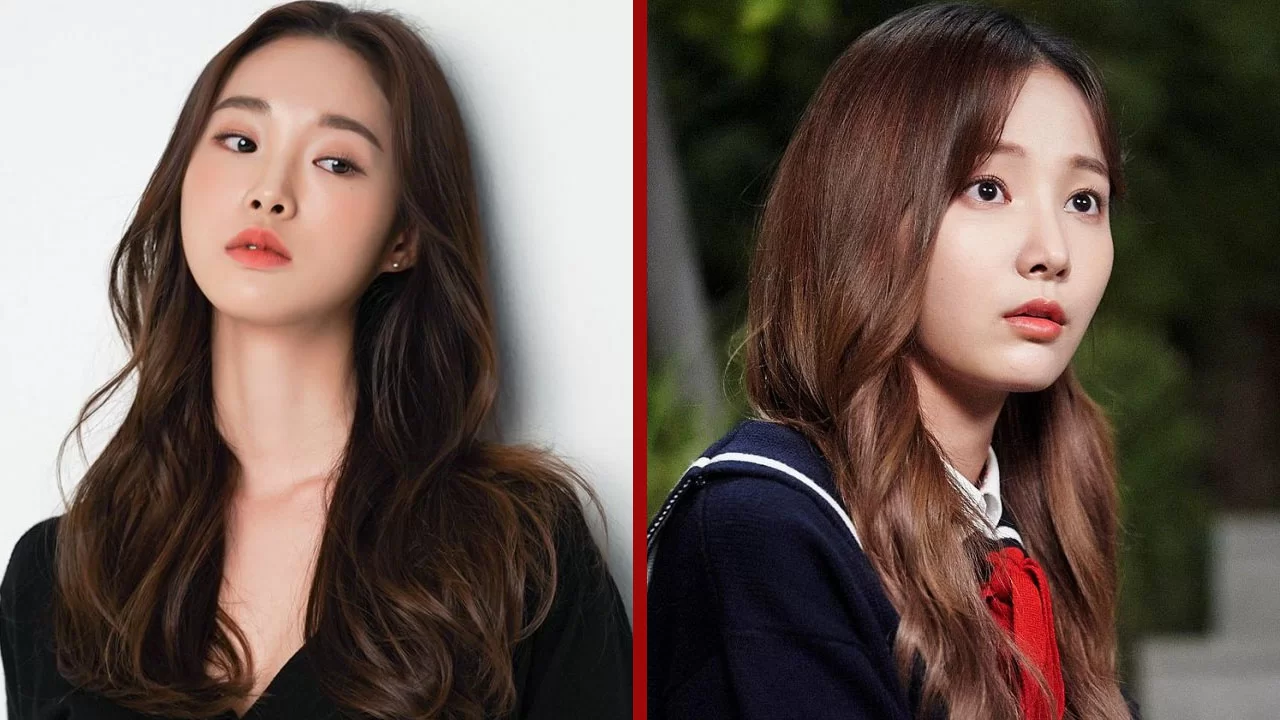 quelqu'un saison 1 k drame kim hae lim