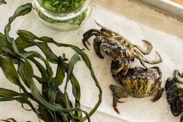 Review: Nous avons essayé le whisky aromatisé au crabe qui est devenu viral - 9