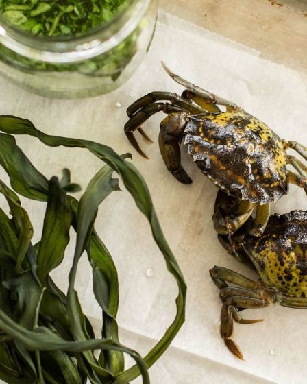Review: Nous avons essayé le whisky aromatisé au crabe qui est devenu viral - 79