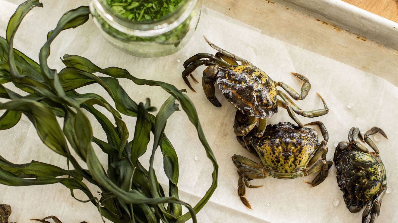 Review: Nous avons essayé le whisky aromatisé au crabe qui est devenu viral 2 Review: Nous avons essayé le whisky aromatisé au crabe qui est devenu viral - 1
