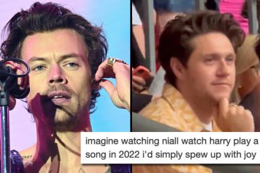 Niall Horan est allé voir Harry Styles en tournée à Londres et je pleure - 14