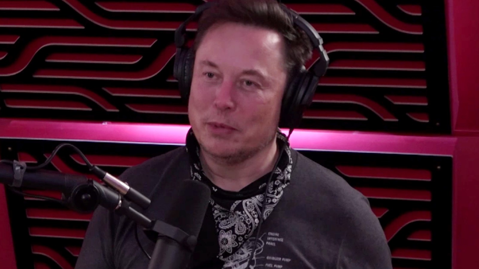 Elon Musk pense que TikTok "détruit" la civilisation 3 Elon Musk sur le podcast Joe Rogan
