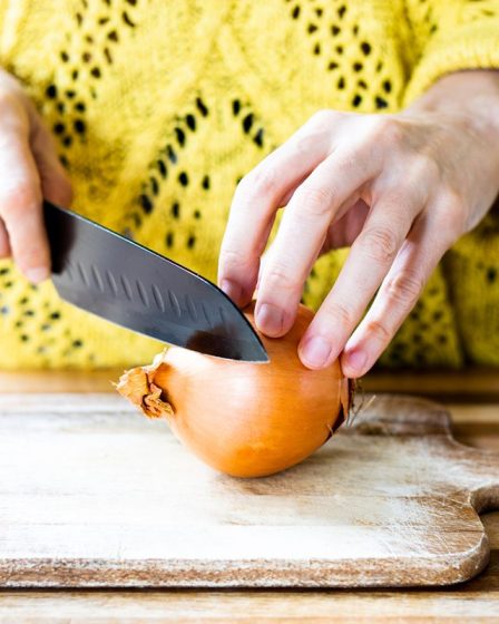 Comment fonctionnent les oignons sans larmes? 8 Comment fonctionnent les oignons sans larmes? - 7