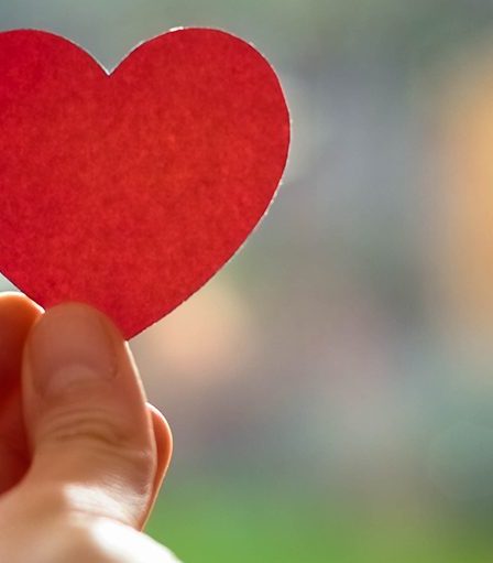 Combien de cavités le cœur possède-t-il ? 17 Combien de cavités le cœur possède-t-il ? - 16