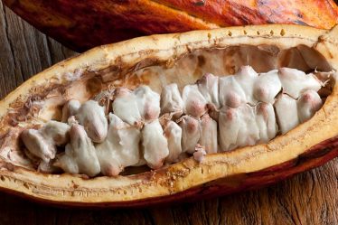 Comment est fabriqué le chocolat ? | Magazine de la BBC sur la science - 3