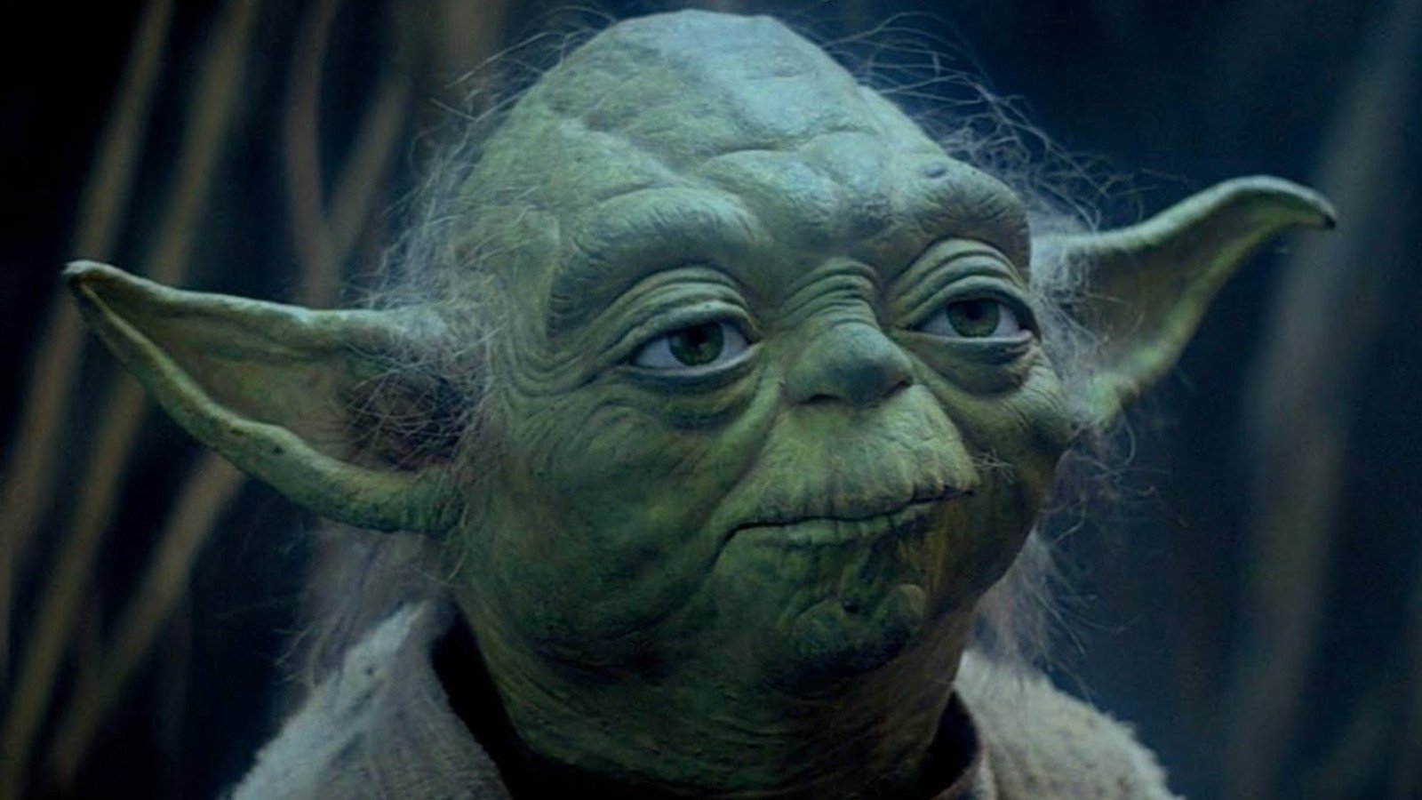 Les fans débattent avec audace pour savoir si Yoda est le plus grand lâche de "Star Wars" 2 Les fans débattent avec audace pour savoir si Yoda est le plus grand lâche de "Star Wars" - 1