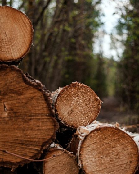 Quatre conseils pour trouver des matières premières pour votre prochain projet de construction 48 Quatre conseils pour trouver des matières premières pour votre prochain projet de construction - 47