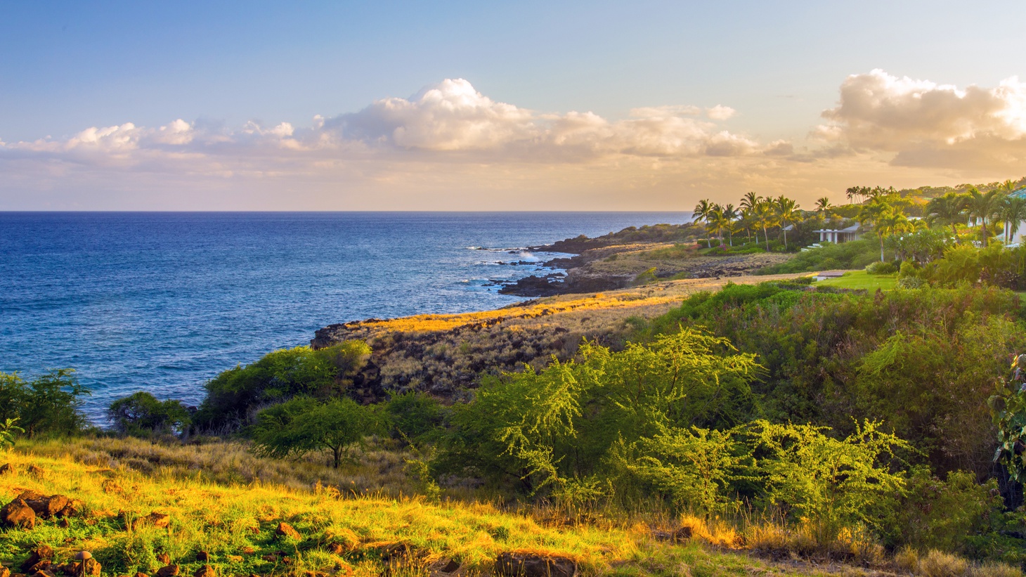 Résidents après que Larry Ellison achète l'île de Lanai 2 Résidents après que Larry Ellison achète l'île de Lanai - 1