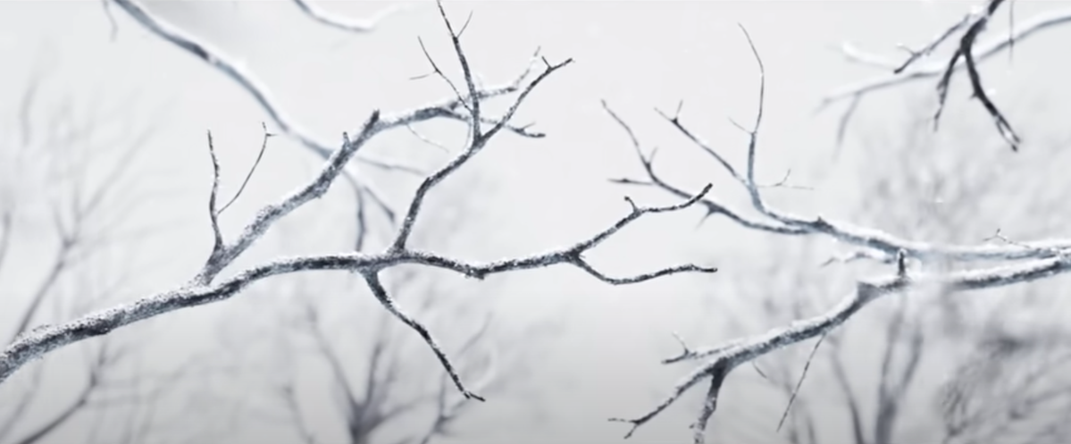 Voici le premier teaser de 'The Hunger Games : The Ballad of Songbirds and Snakes' 4 Voici le premier teaser de 'The Hunger Games : The Ballad of Songbirds and Snakes' - 3