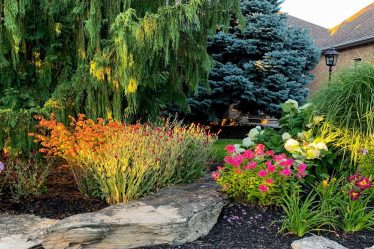 Comment savoir quand utiliser des vivaces ou des annuelles dans votre jardin - 18