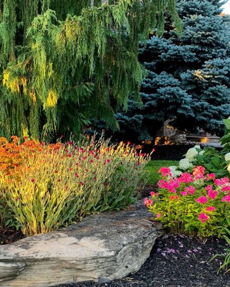 Comment savoir quand utiliser des vivaces ou des annuelles dans votre jardin 67 Comment savoir quand utiliser des vivaces ou des annuelles dans votre jardin - 66
