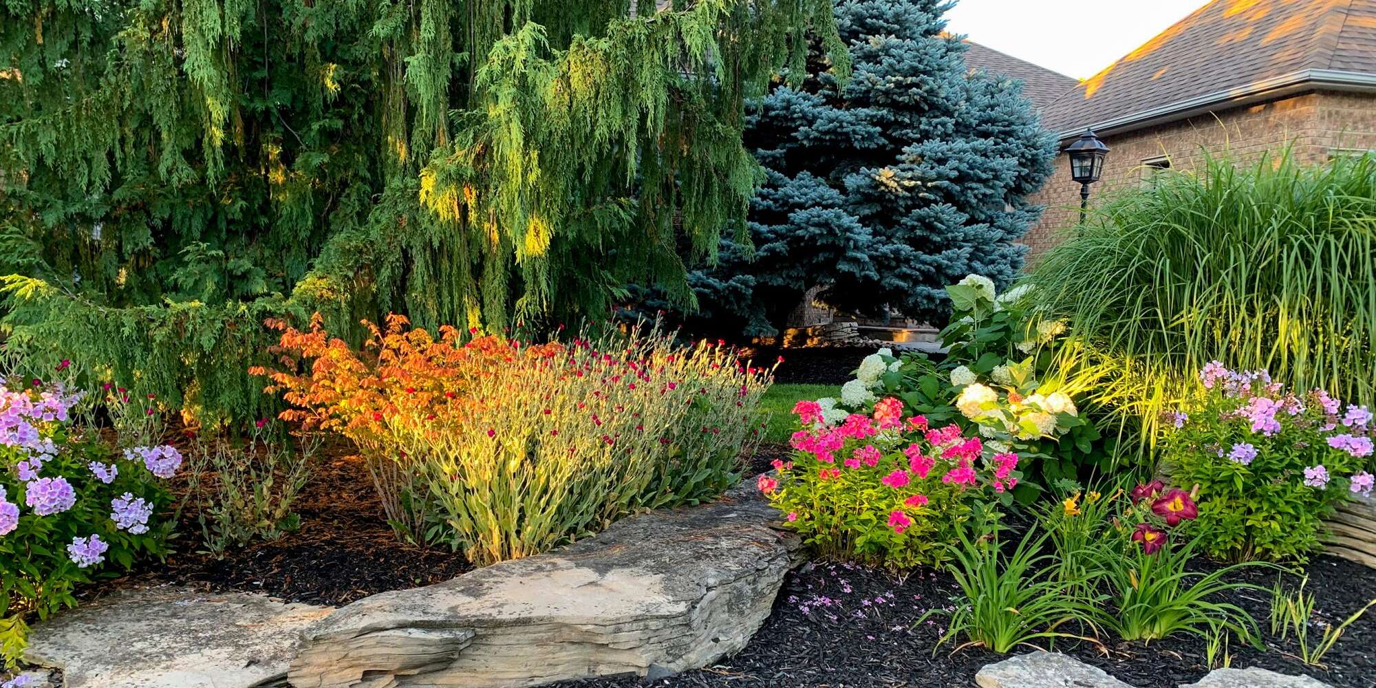 Comment savoir quand utiliser des vivaces ou des annuelles dans votre jardin 2 Comment savoir quand utiliser des vivaces ou des annuelles dans votre jardin - 1