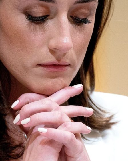 Opinion: Sagement, les audiences du 6 janvier sur le coup d'État manqué de Trump racontent une histoire qui a une morale dont nous pouvons nous soucier - 87