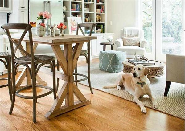 Grossesse chez les chiens : que faire lorsque votre compagnon canin attend 4 Concevoir une maison adaptée aux chiens qui sera facile à nettoyer