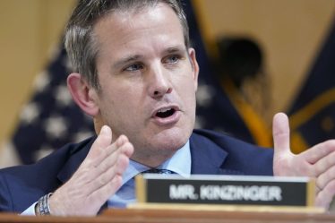 "Restez à l'écoute" pour de nouvelles preuves contre Trump lors des audiences de juillet: le représentant Kinzinger - 5