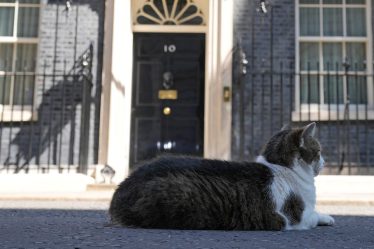 Les successeurs de Boris Johnson cherchent à se démarquer dans un domaine encombré - 13