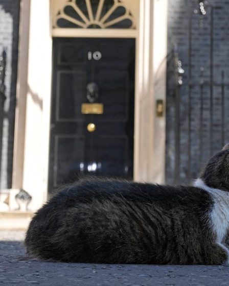 Les successeurs de Boris Johnson cherchent à se démarquer dans un domaine encombré 54 Les successeurs de Boris Johnson cherchent à se démarquer dans un domaine encombré - 53