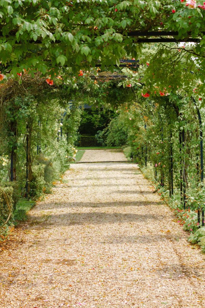 Préparez votre jardin canicule ! Six conseils de jardinage pratiques pour les débutants 4 Comment améliorer votre jardin à temps pour l'été ?