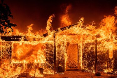 Un incendie de forêt en Californie devient incontrôlable près de Yosemite - 9