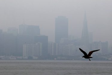 Alors que Twitter repense son empreinte à San Francisco, une plus grande question de 9 milliards de dollars plane sur le marché des bureaux de la ville - 5