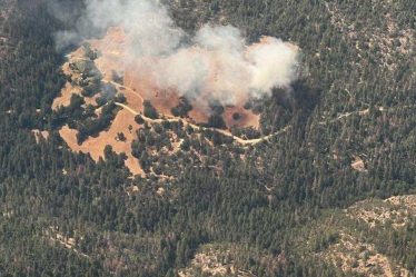 La chaleur et le vent menacent d'attiser la croissance des incendies de forêt dans l'Ouest - 5