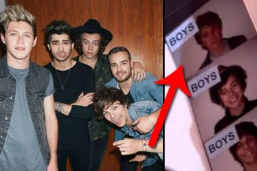 One Direction a été construit autour de Niall Horan et non de Liam Payne - 9